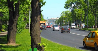Посадка деревьев и кустарников в Долгопрудном — стоимость от 1218 руб.